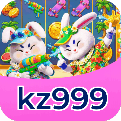 Interface kz999